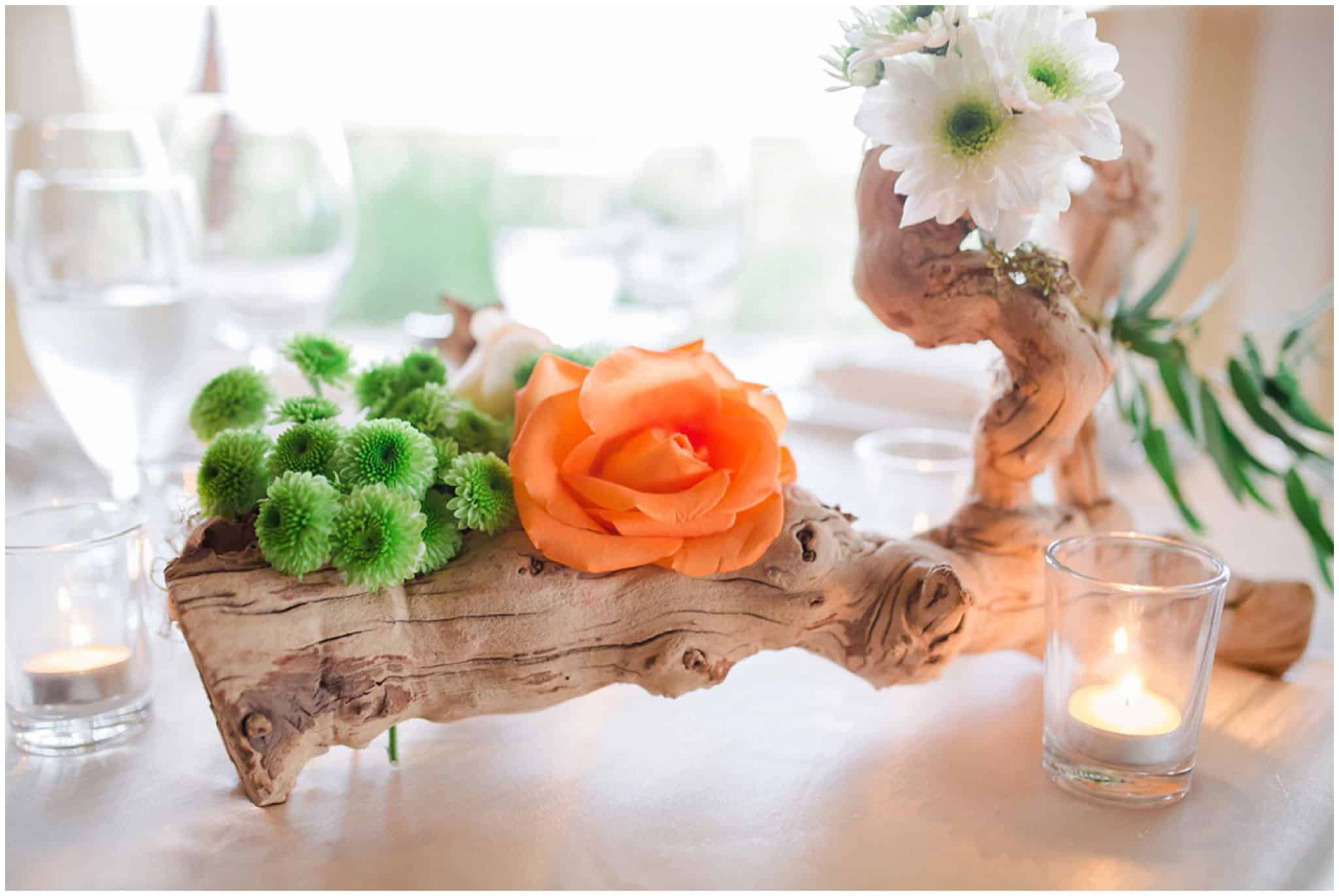 Cabo-Wedding-Photographer---Sara-Richardson_1239